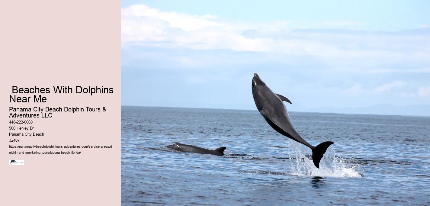 How do dolphin and snorkeling tours contribute to local marine conservation efforts