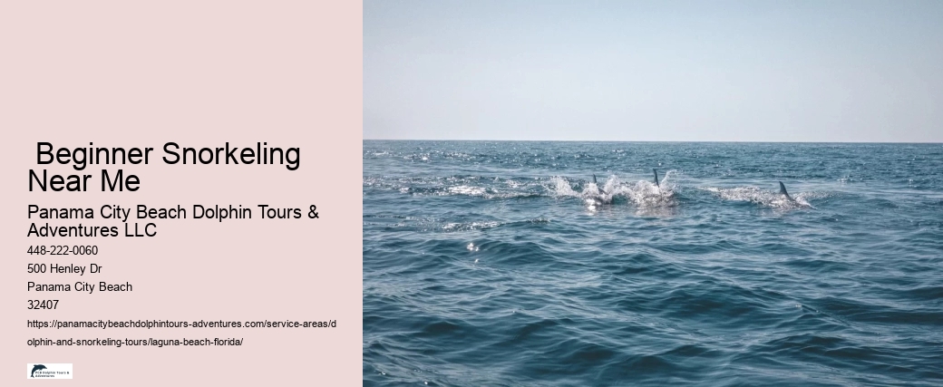 Snorkeling With Dolphins Near Me