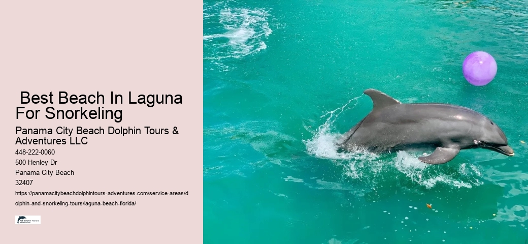 Laguna Snorkeling