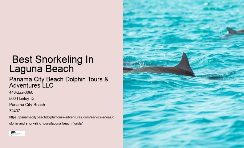 Are Dolphin Tours Safe