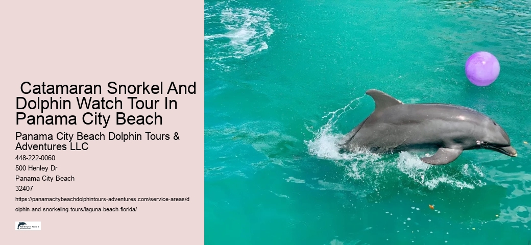 Snorkel
