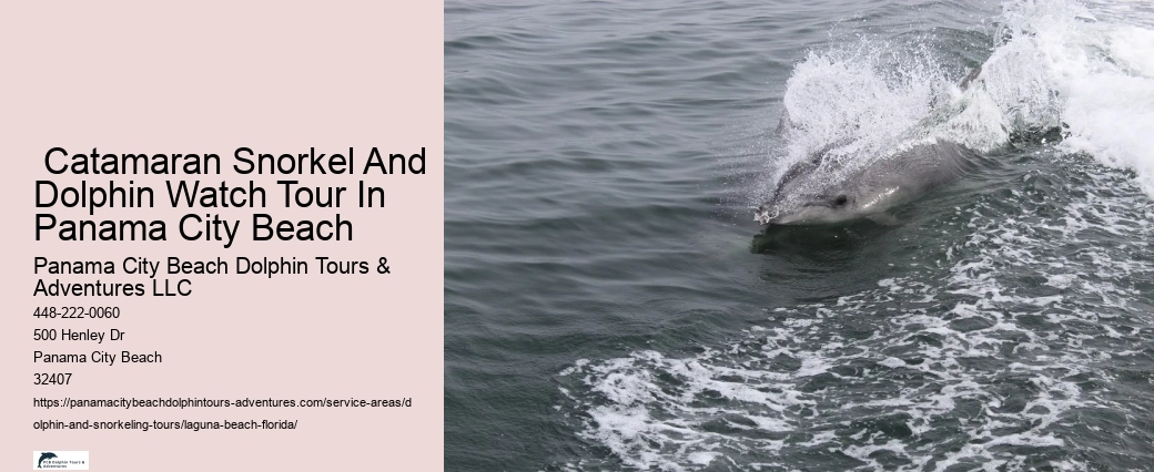 Boat Tours Near Me Kid Friendly
