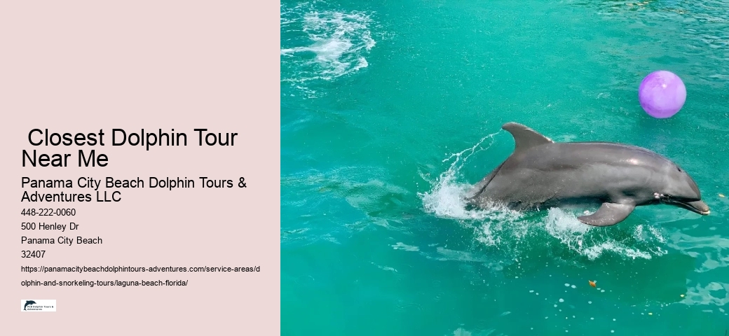Whale Or Dolphin Watching Near Me