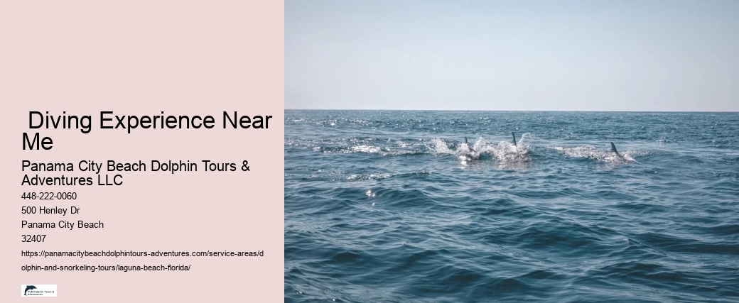 Snorkeling Experience Near Me