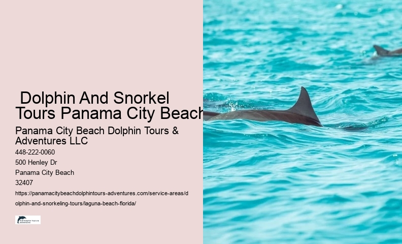  Dolphin And Snorkel Tours Panama City Beach