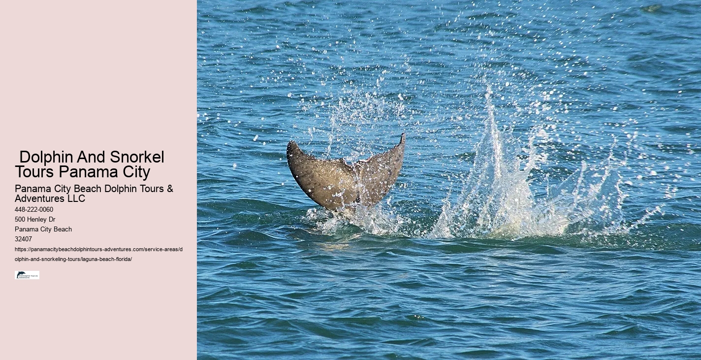 Best Snorkeling Spots In Laguna Beach