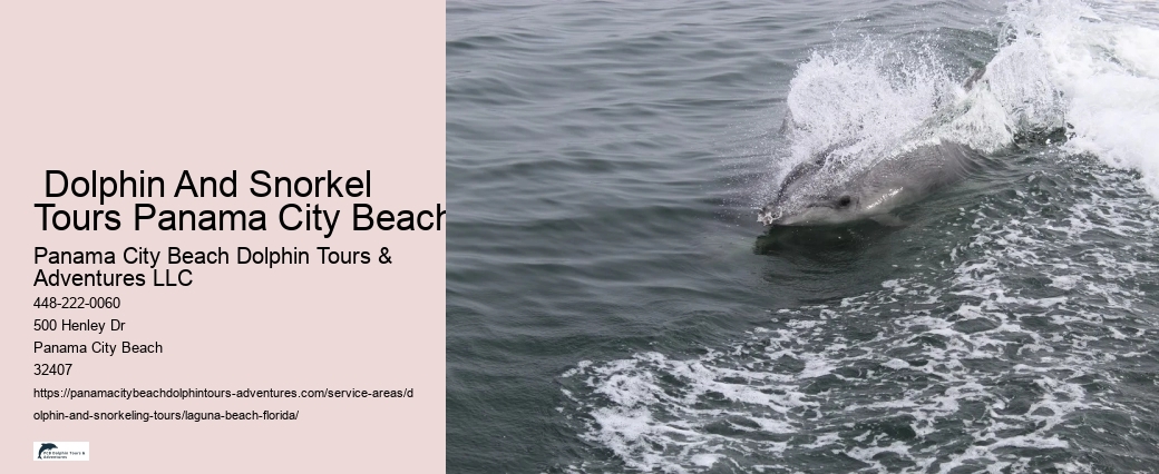 Dolphin Show Near Me