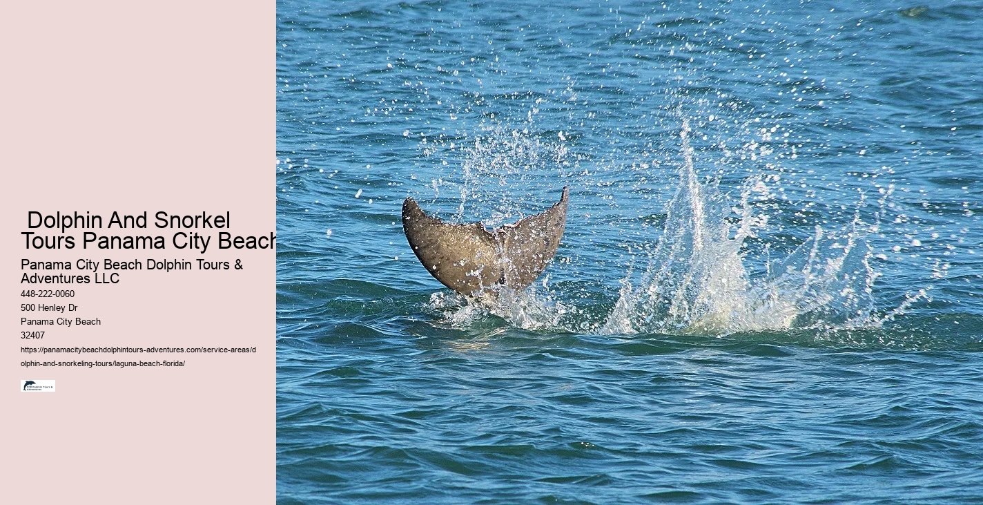 Private Dolphin Tours Panama City Beach