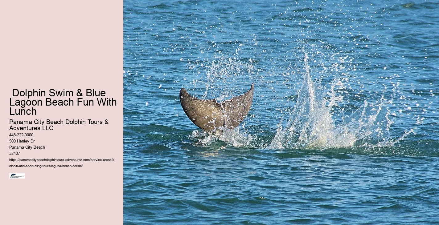 Is it legal to swim with wild dolphins in Florida