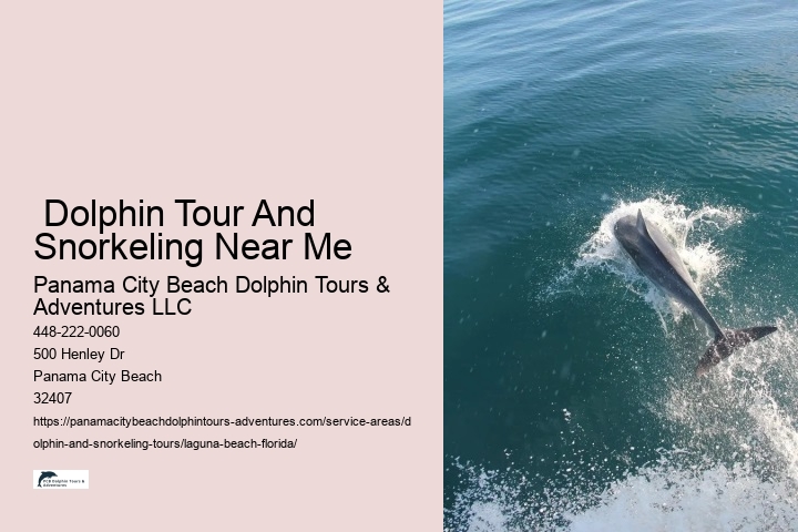  Dolphin Tour And Snorkeling Near Me