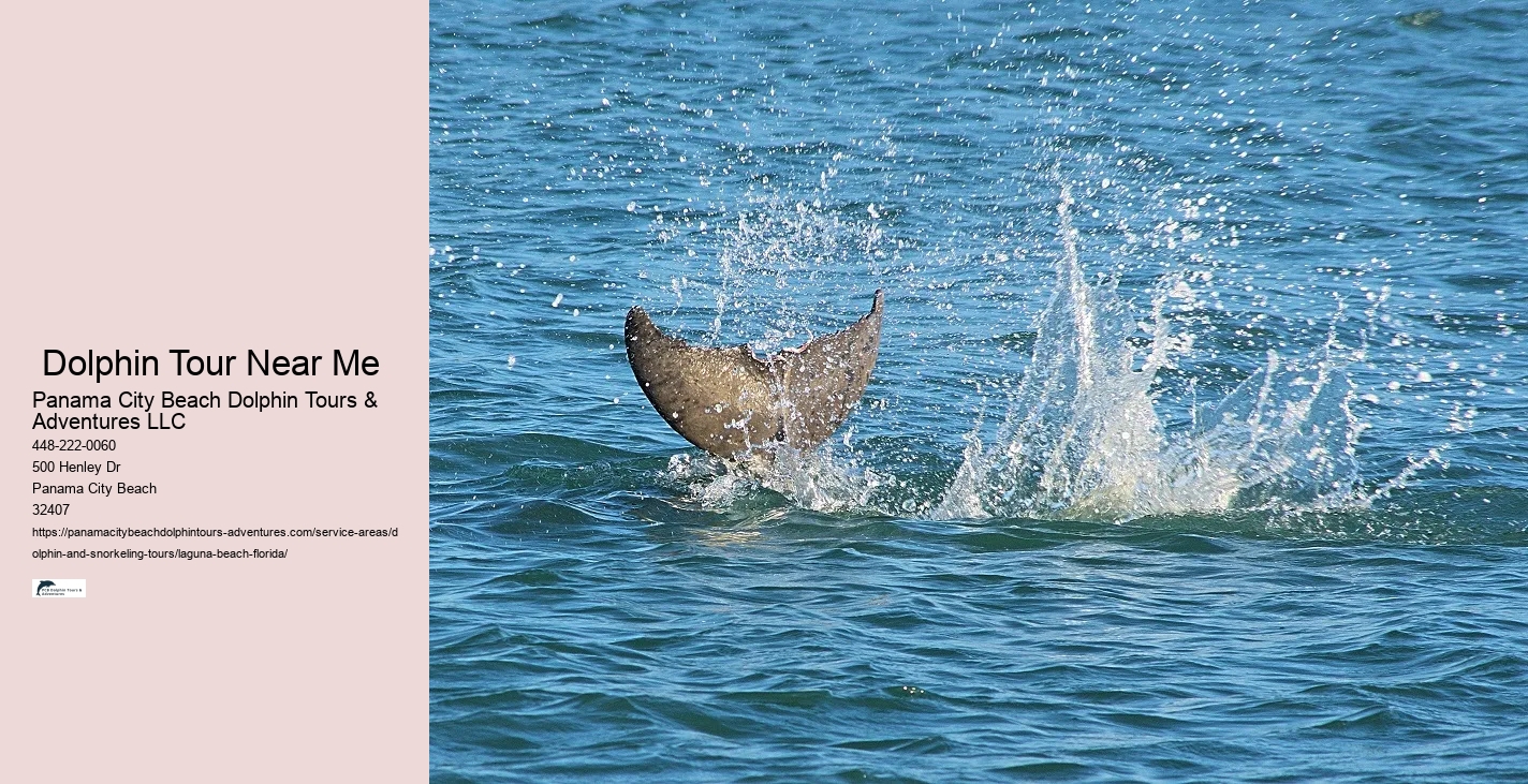 Are dolphin and snorkeling tours available for children in Laguna Beach, Florida