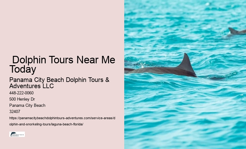 Dolphin Tour And Snorkeling Near Me