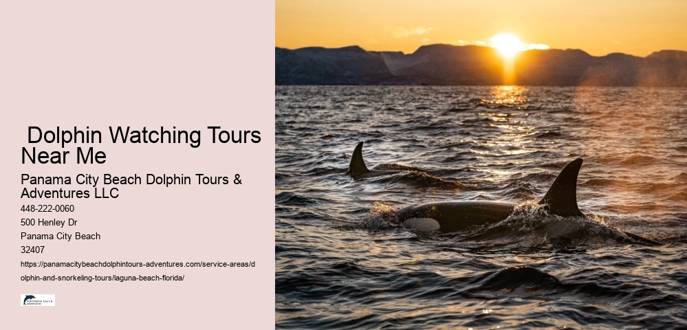 Dolphin Tours Near Me
