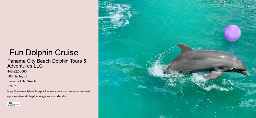 Do dolphins like to swim with you