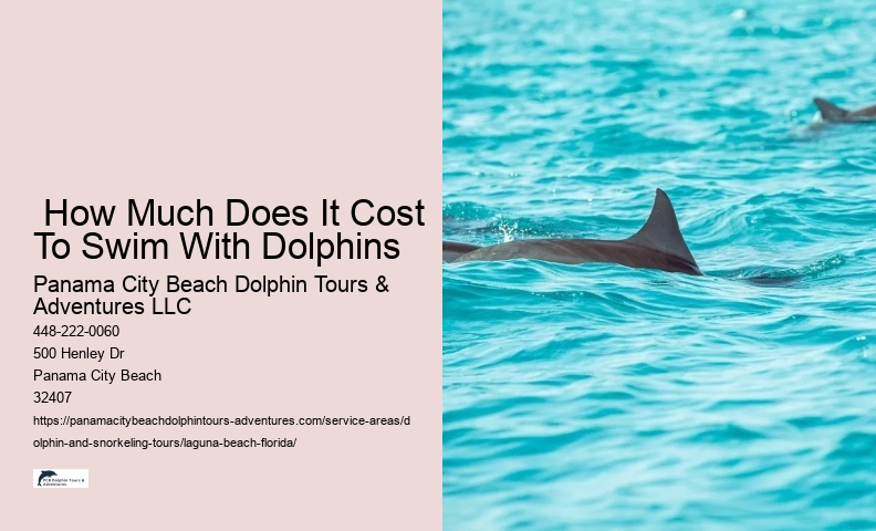 Dolphin Cruise Near Me