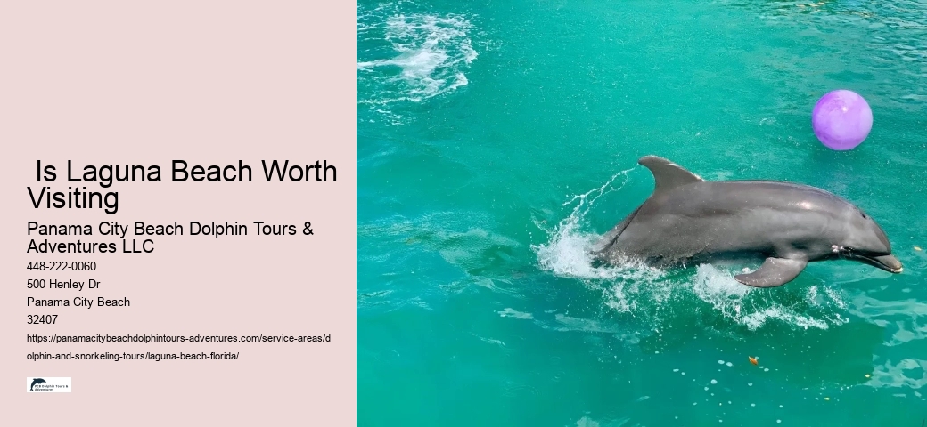 Dolphin And Whale Watching Near Me