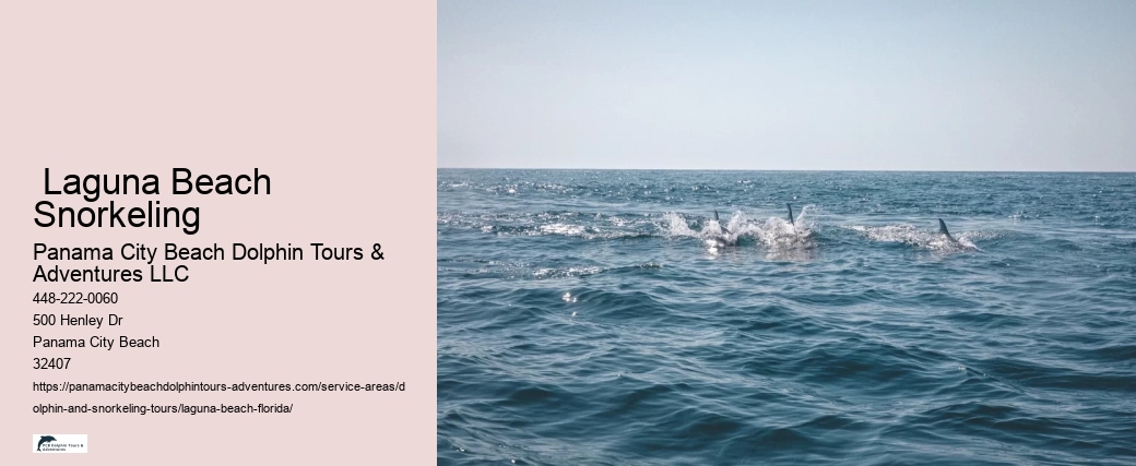 Where is the best place to swim with wild dolphins