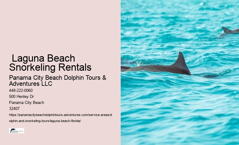 Dolphin Sightings
