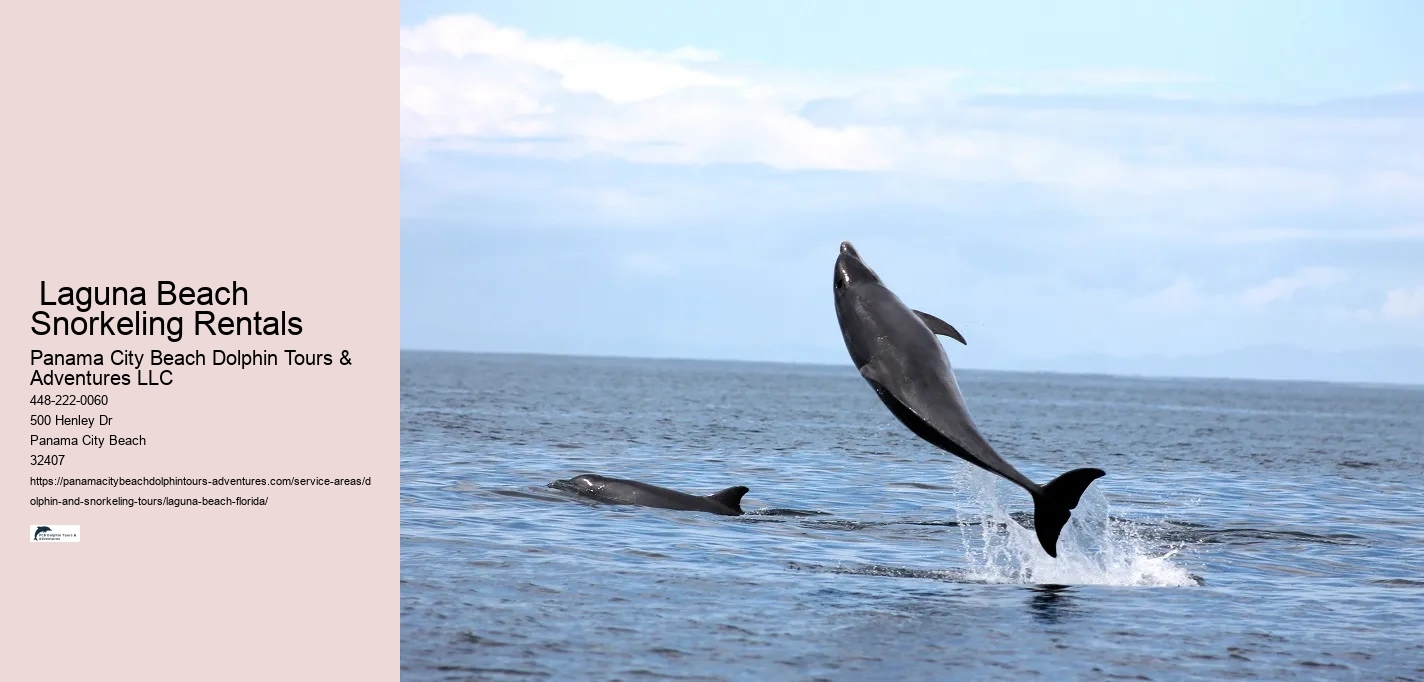 Free Dolphin Tours Near Me