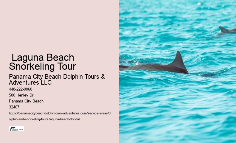 Cheapest Dolphin Tours Near Me