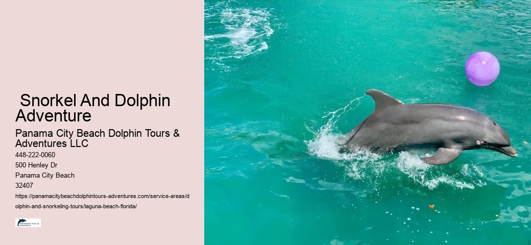 Snorkeling Tours Laguna