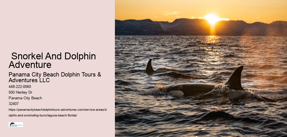 Adventure Tours