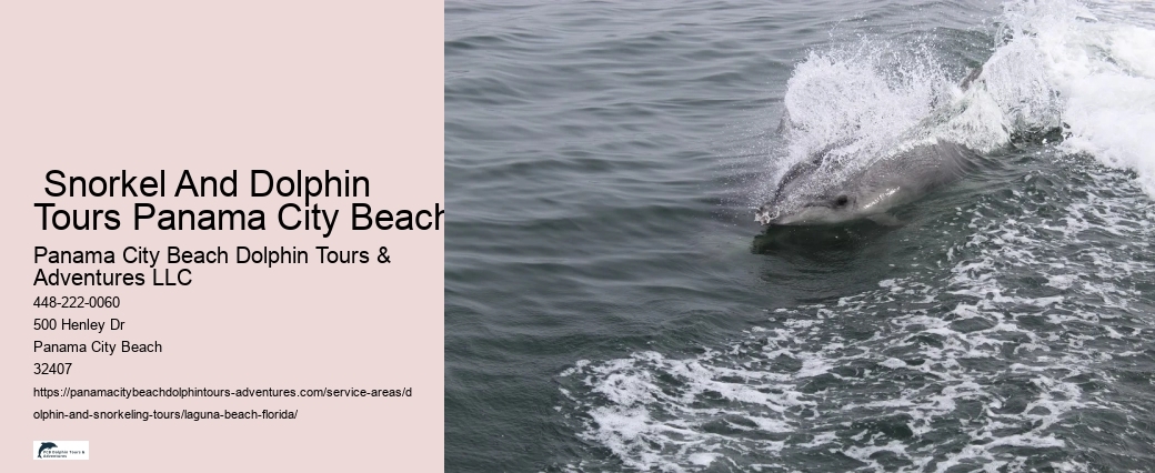 Dolphin Cruise Panama