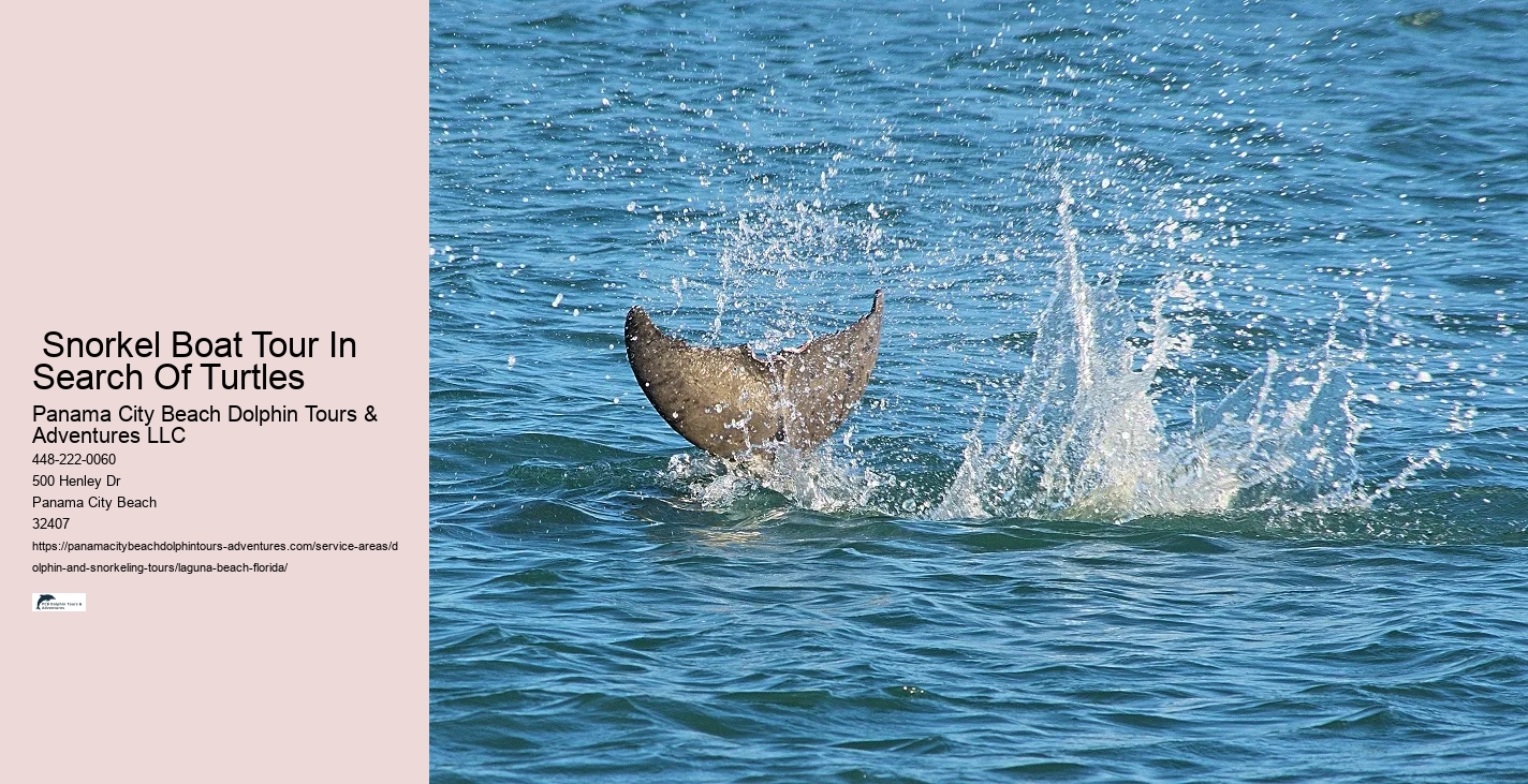 The Best 10 Snorkeling In Panama City Beach, Fl