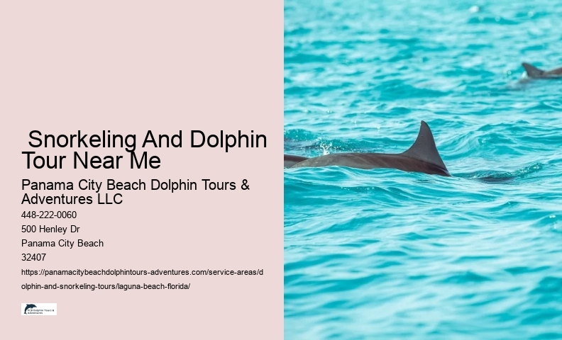 Dolphin Watching Boat Tour Near Me