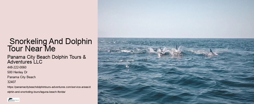 How old do you have to be to swim with dolphins in Florida