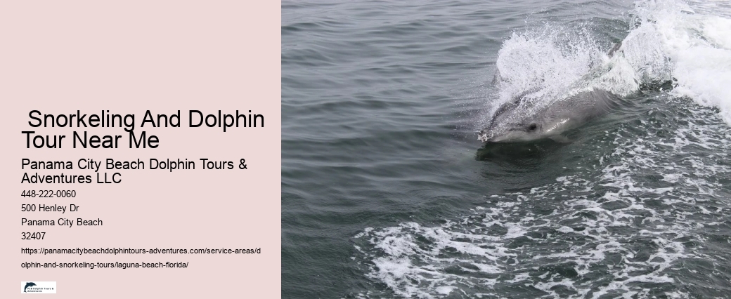 Jet Ski Dolphin Tours Near Me