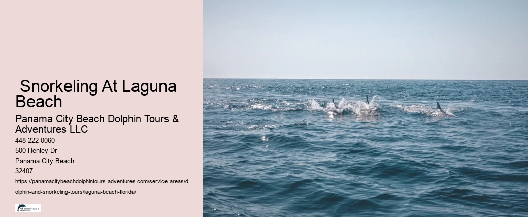Laguna Beach Snorkeling Rentals