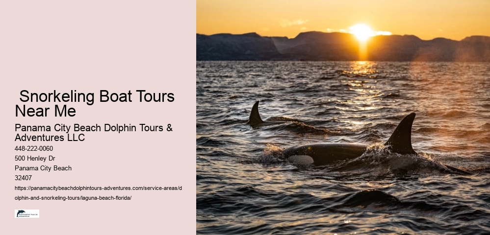 Snorkeling Boat Tours Near Me