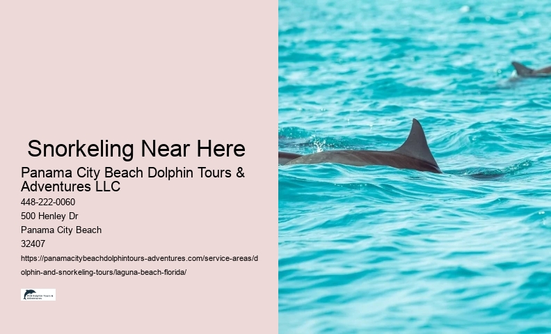 Snorkeling Tours Near Clearwater