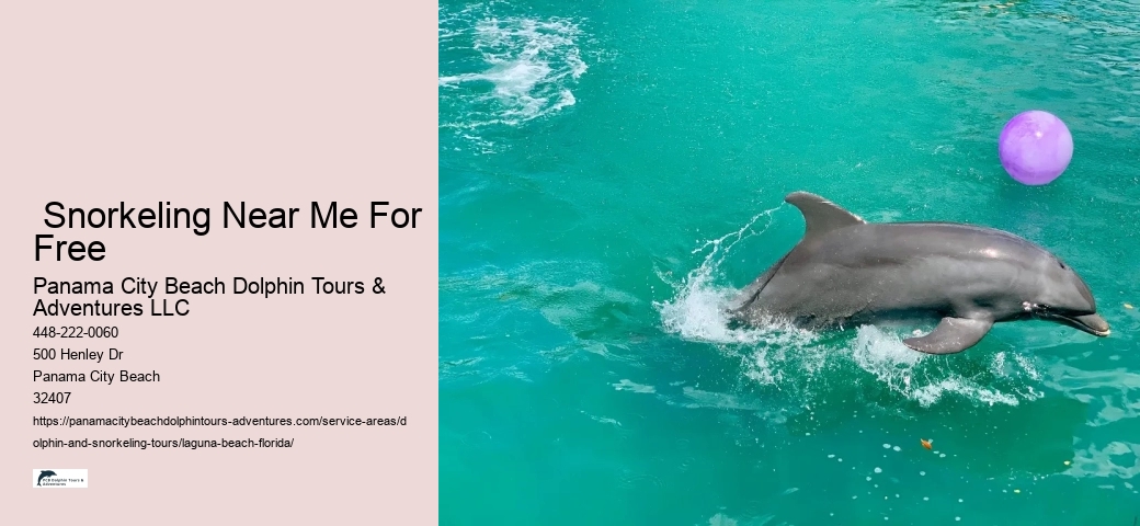 Dolphin Snorkeling Panama City Beach