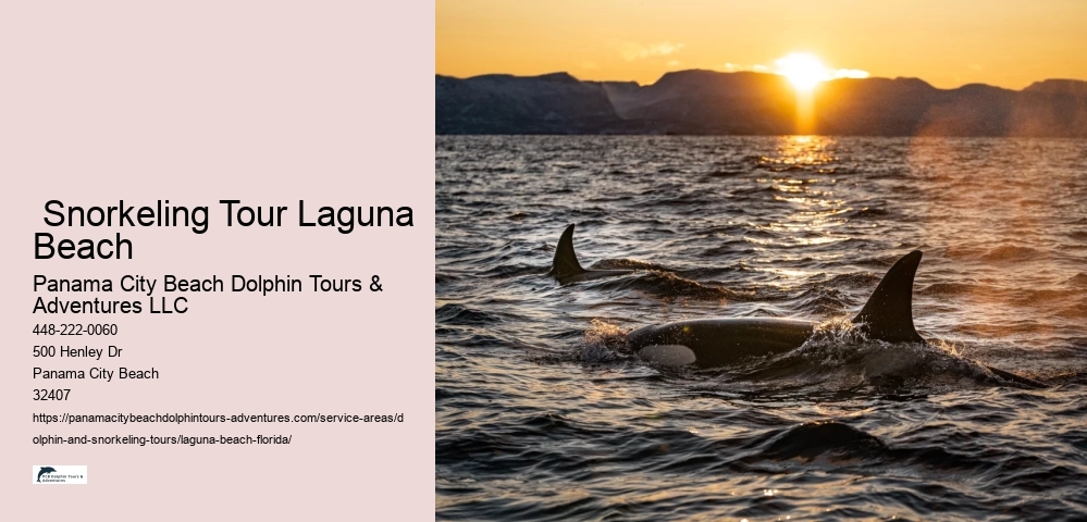 Lagoon Pontoons