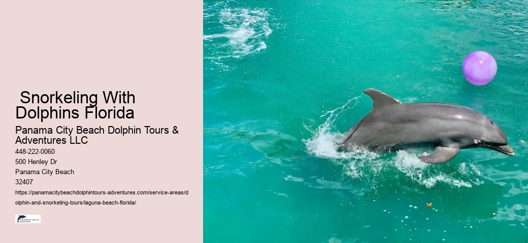 Dolphin Tour Near Me