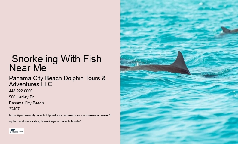 Dolphin Tour And Snorkeling Near Me