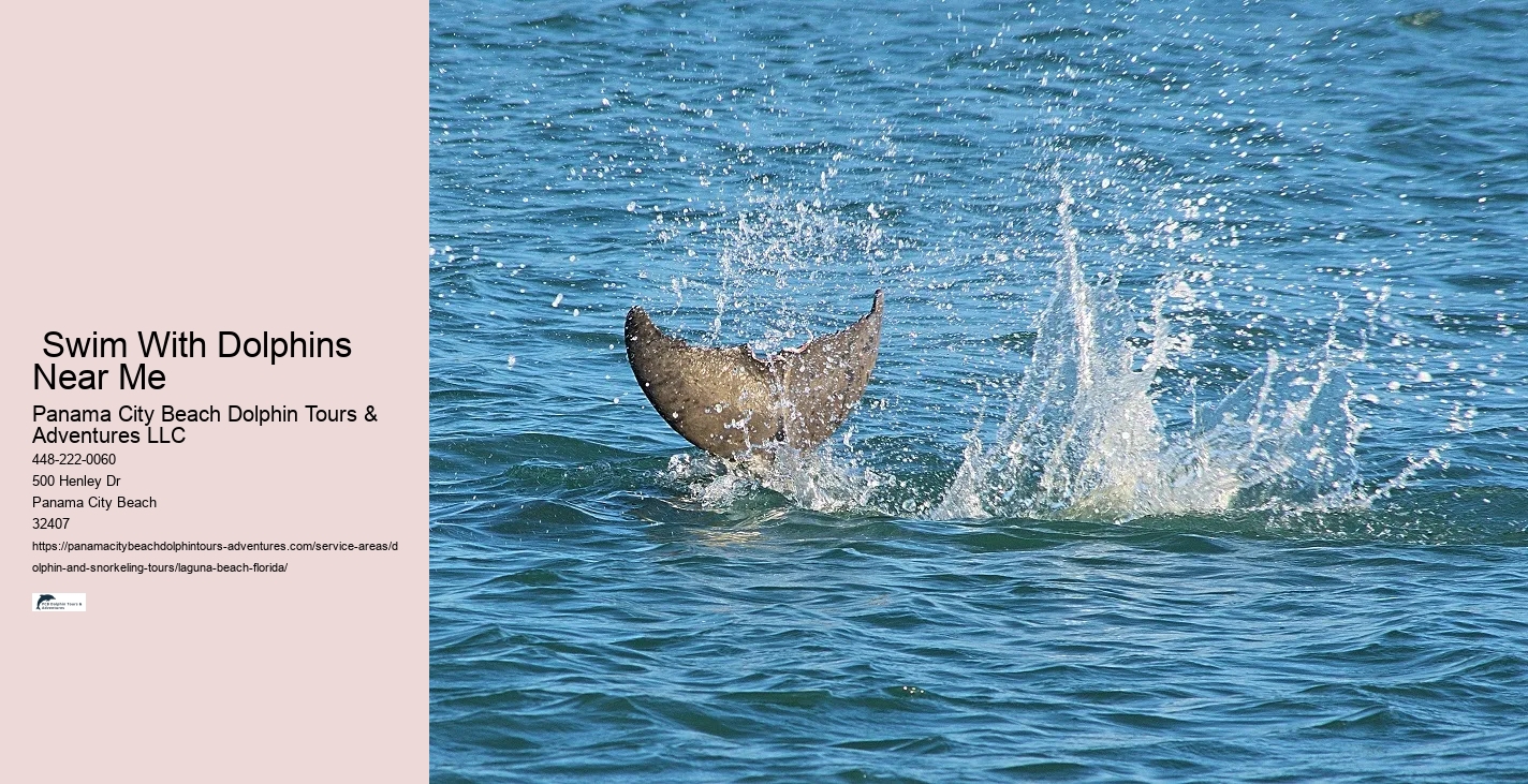 Dolphin Tours Adventures