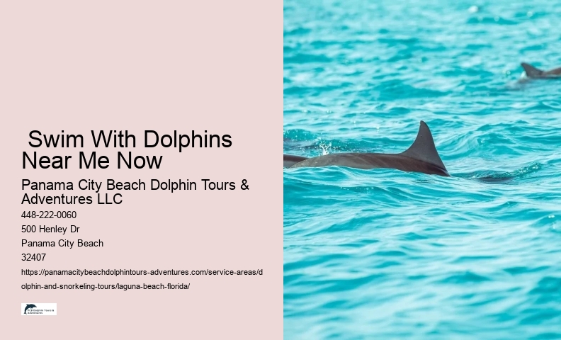 Guided Snorkeling Near Me