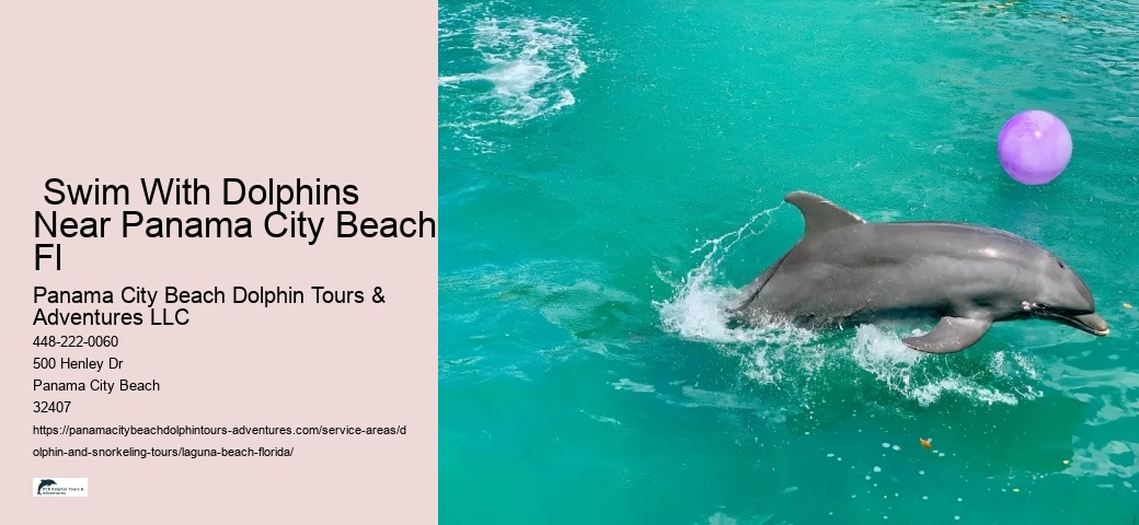 Dolphin Trips Near Me