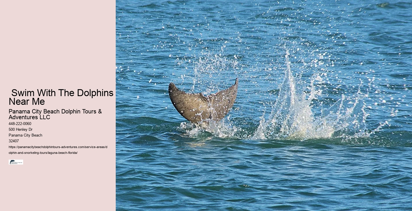 Why do dolphins swim with you