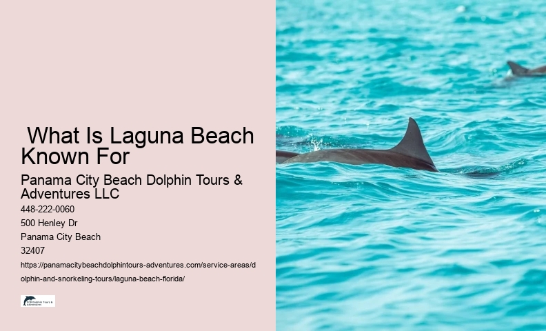 Snorkeling Tours Near Me